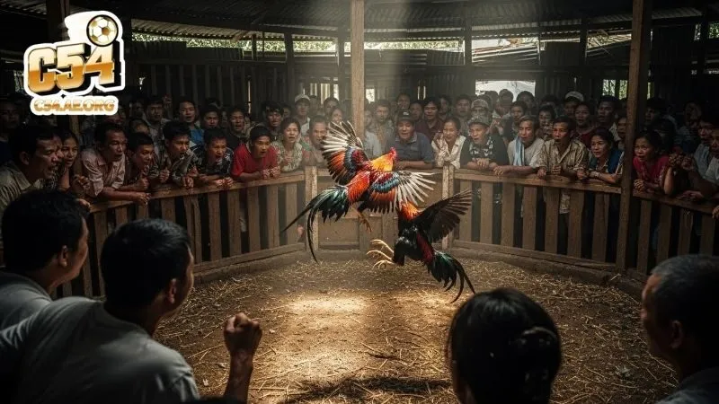 he-thong-dat-cuoc-toi-uu-cho-nguoi-dung-dam-me