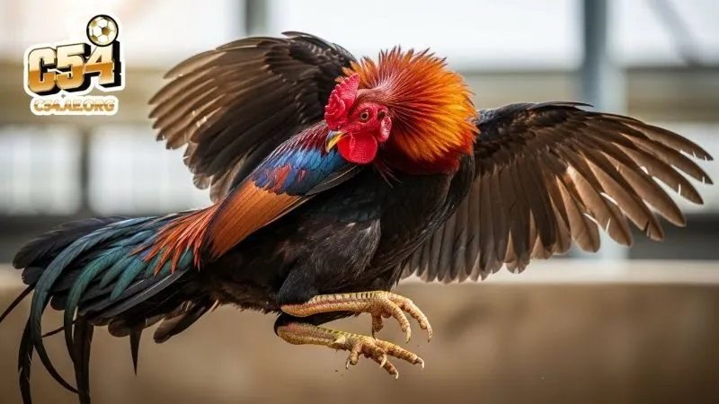 tuyet-ky-don-danh-lam-nen-thuong-hieu-tay-son